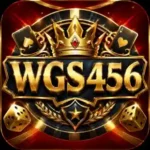 wgs456 game download logo for users